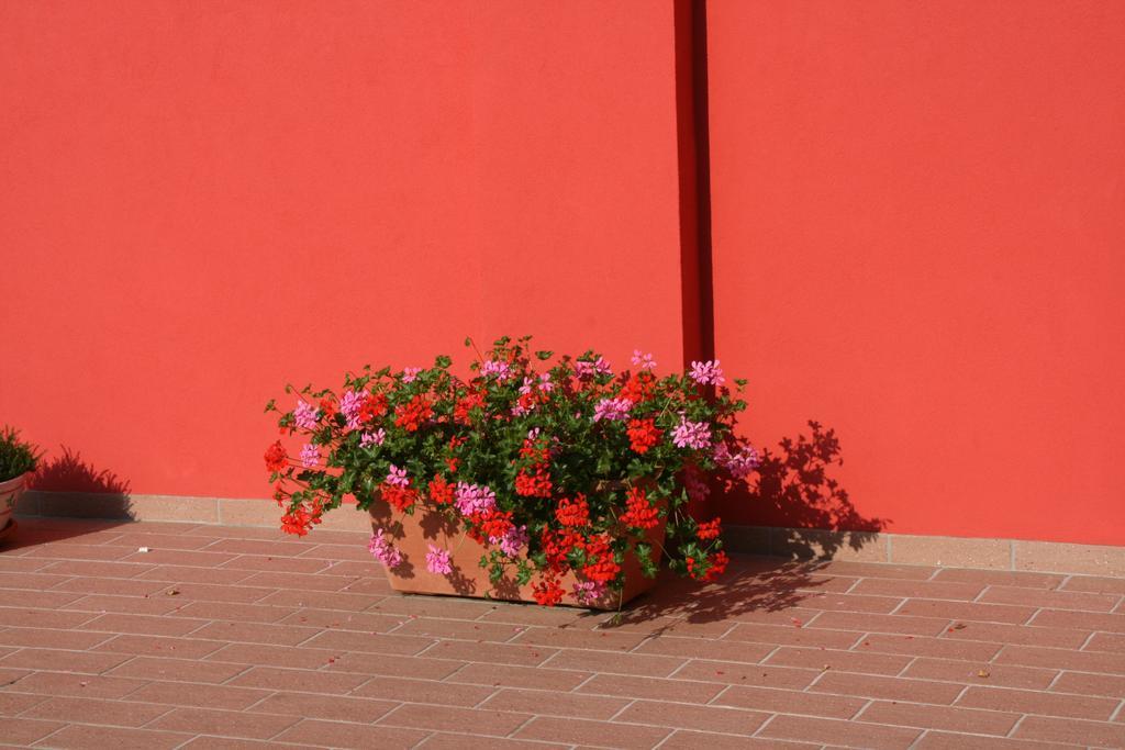 Dolce Casa Appartement Marghera Buitenkant foto